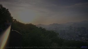 Леса звучат как гимн свободе вместе с этим треком - _Tiempo Santo (VII) -- opo -- Estudios Indigenif