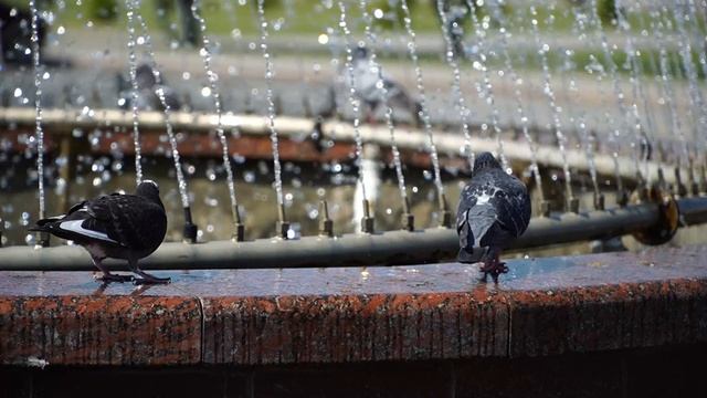 Обьектив Sony E 18-105mm f/4 G OSS PZ тест видео смотреть онлайн