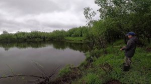 Рыбалка. Смена погоды и вот результат. 18.06.2020