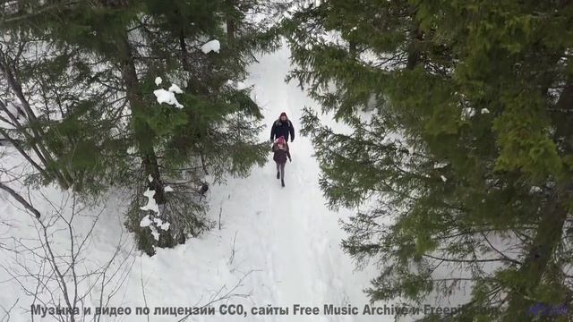 Ощущение, что природа играет на собственных инструментах - Dusty Attic -- HoliznaCC0 -- Forager