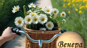 Нейро Музыка"Признание" от Венеры#музыка#стихи#нейро