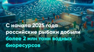 С начала 2025 года российские рыбаки добыли более 2 млн тонн водных биоресурсов