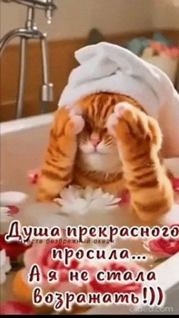 А, ЛЕТО, ЗОЛОТОГО ЦВЕТА. Shorts.