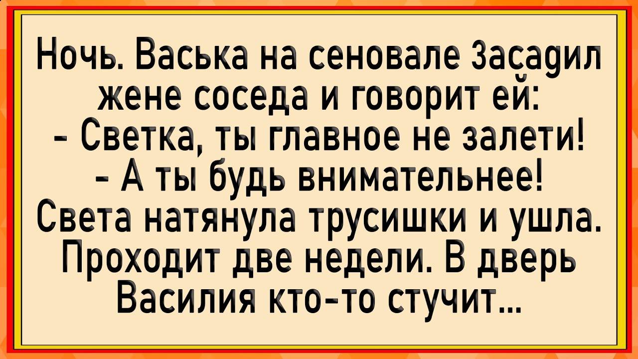 😂Как Светка от соседа залетела! Сборник свежих анекдотов! Юмор