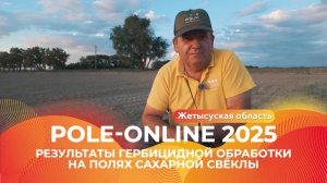 Результаты обработки на полях сахарной свёклы против сорняков и вредителей | Pole-Online 2025 #агро