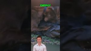NykCufWlLVU - Incredible Wildlife Battle： Lionesses Overcome Giant Crocodile #shorts #animals #croco