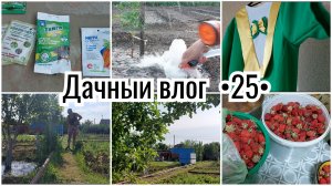 ПЛОДОТВОРНАЯ РАБОТА В САДУ 🔥 НОВИНКА. УЮТ. Угоманись Наташа! Очень интересный влог получился 💪😊