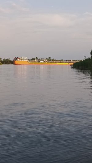 Троицу провели на Дону. С праздником!