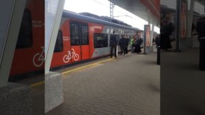 эс2г ласточка