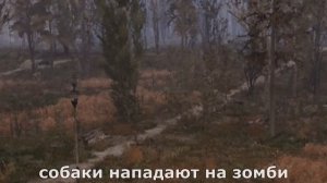 Как работает А-лайф в stalker 2 | последний патч