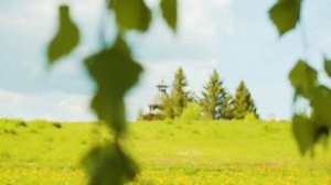 ПЕЛИ СОЛОВЬИ. Стихи. В. Павловская, музыка, аранж. С. Лабутин, вокал. Л. Великанова, звук. А. Макали