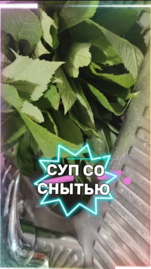 ПЕРЕШЛИ НА СОРНЯКИ. ВАРИМ СУП ИЗ СНЫТИ! 🤣🤣🤣