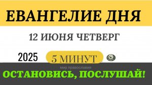 12 июня четверг Евангелие дня 2025 с толкованием