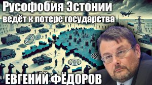 Русофобия Эстонии ведёт к потере государства. Евгений Фёдоров.