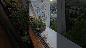 Не только про бизнес в Сочи 4