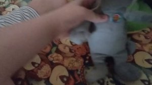 Обзор игрушки говорящий Том