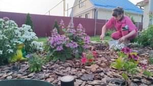 ПРОСТЫЕ РАДОСТИ В ДЕРЕВНЕ/ДЕНЬГИ ЛЕГКО НЕ ДОСТАЮТСЯ/ВСЁ В ОДНИ РУКИ,НЕ СПРАВЛЯЮСЬ