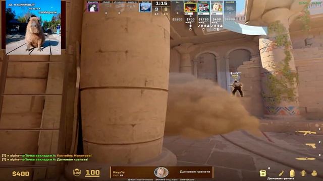 DONK, BAZ И ALPHA ИГРАЮТ ПОТНЕЙШУЮ КАТКУ НА ФЕЙСИТЕ | ДОНК В П? смотреть онлайн