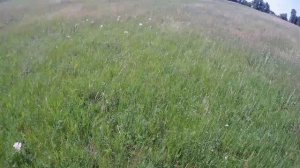 Покатушки на природу №31.😊