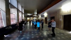 Черёмуха цветёт белым цветом