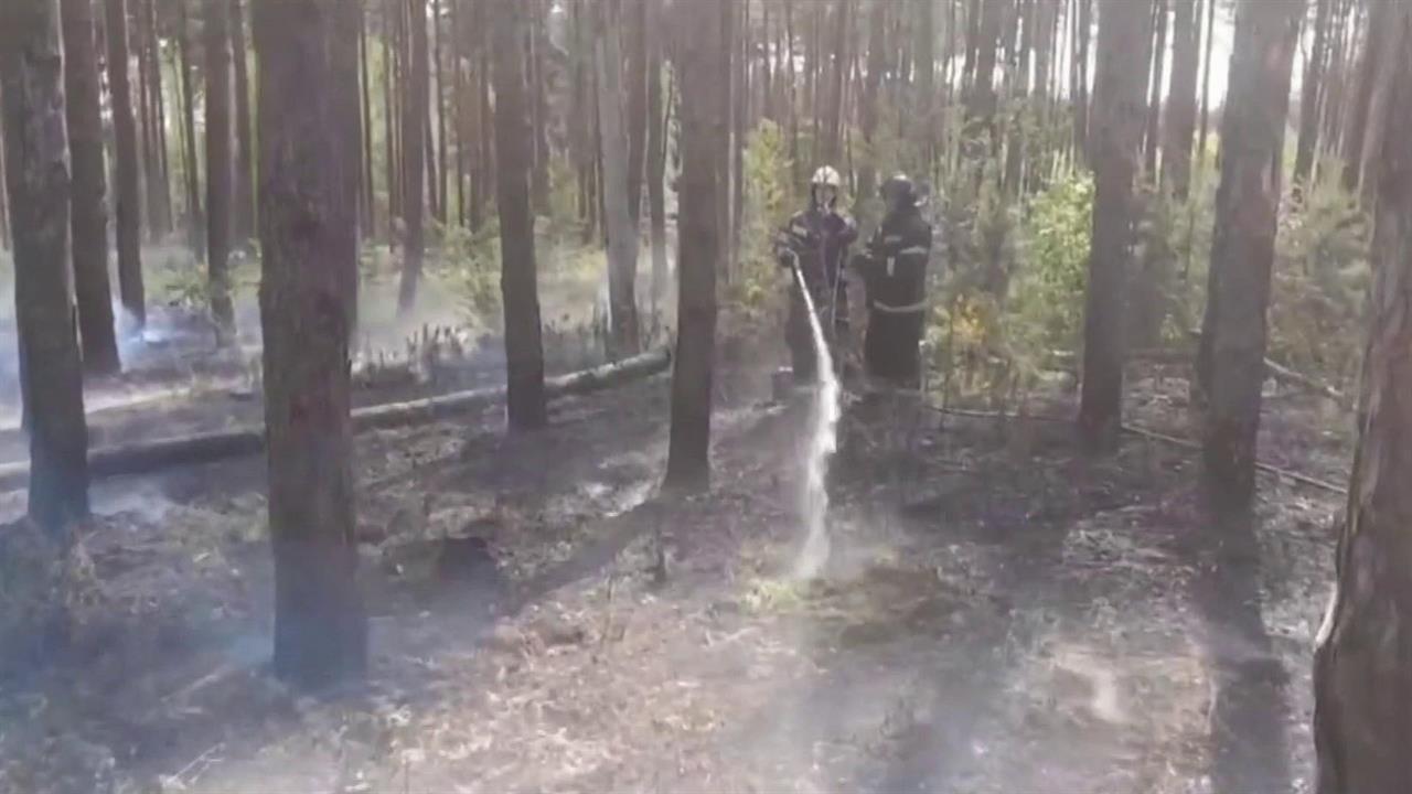 В Забайкалье природные пожары охватили 2,5 млн га