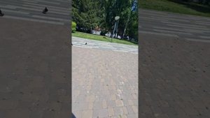 как люди себя опускают кемерово бульвар строителей