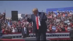 Dancing Трамп-Taco