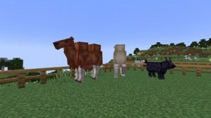 Обзор мода DragN's Livestochk Overhaul//1.20.1//forge// Новый мод на живот?