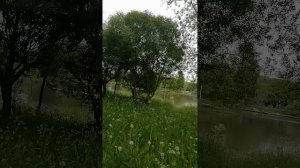 Настал момент принимать решение