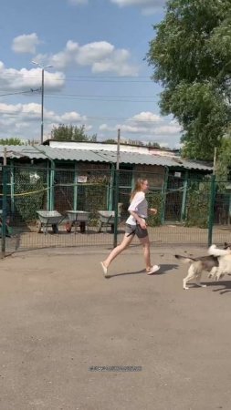 Мы учились,мы играли,мы устали