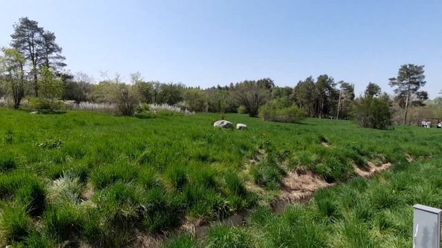 Достопримечательности в Ботаническом саду Алматы. 2024 смотреть онлайн