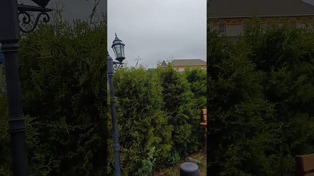 Озеро Понти. Рыбалка. Гжель. Турыгино. Обзор.