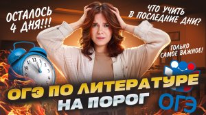 Как сдать ОГЭ по литературе на порог? | Умскул
