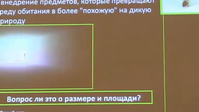 4 часть, Секция поведенческой медицины, Гонсало Перейр смотреть онлайн