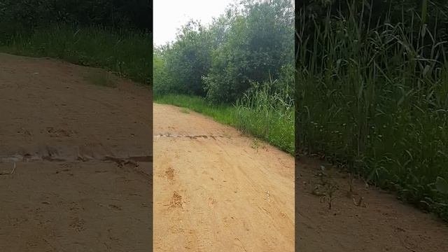 Видео на миллион баксов