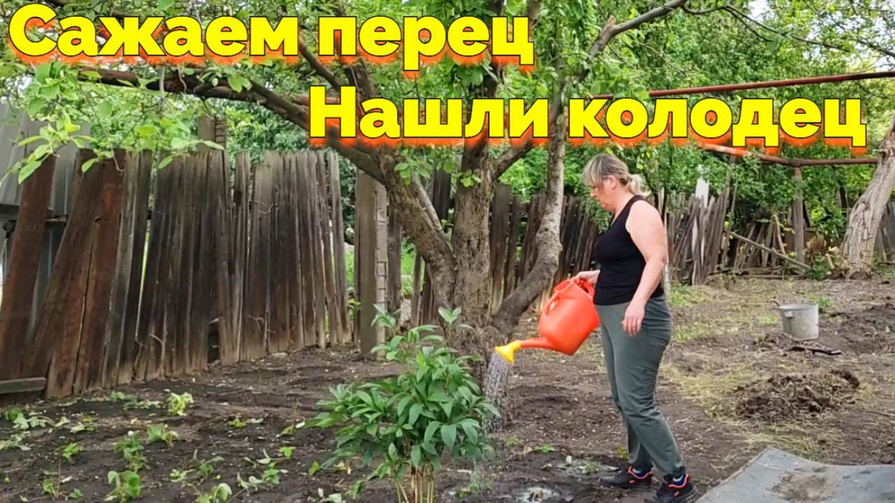 САЖАЕМ ПЕРЕЦ НАШЛИ КОЛОДЕЦ