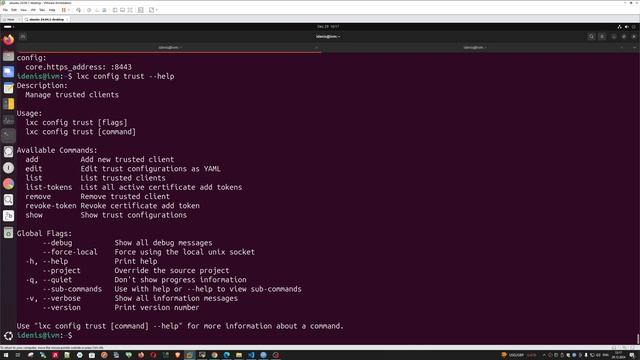 Как получить доступ к веб-интерфейсу LXD | Настройка пол смотреть онлайн