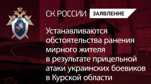 Устанавливаются обстоятельства ранения мирного жителя в результате атаки ВФУ в Курской области