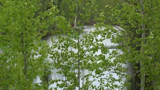 Zoom тест камеры Sony AX43A. Республика Коми г. Усинск. Тропа ? смотреть онлайн