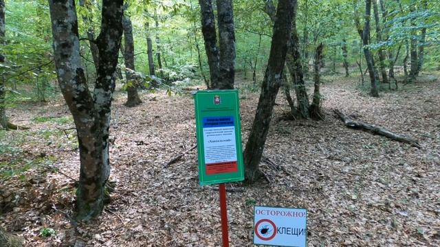 Самый красивый водопад в Крыму Джур-Джур! Как добратьс смотреть онлайн