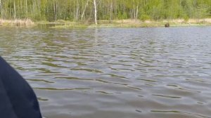 Рыбалка в Новосёлках