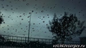 Сергей Волчков. "Август"