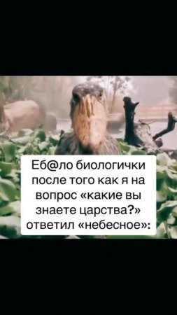 Подпишись