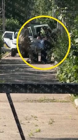 В Полтаве продолжается отлов свежего мяса для Наркофюрера прямо в госпитале. На кадрах очередной...