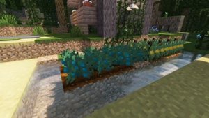 Обзор мода Hexalia//1.20.1//fabric// Магический мод с ведьмовской