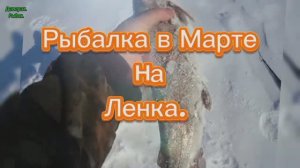 Рыбалка в Марте 2025.
#ленок #весна #рыбкамоеймечты
#топ #подлëднаярыбалка