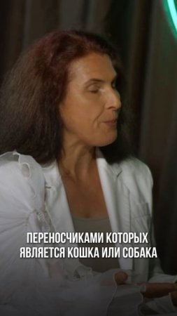 Можно ли заразиться паразитами от домашних питомцев