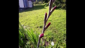 Поговори со мною, мама! - Ирина Акулова