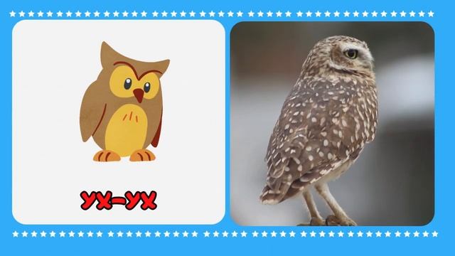 Звукоподражания для детей Запуск речи Логопедические карточки смотреть онлайн