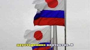 Депутат Судзуки: нельзя допустить разрыва отношений Японии и России